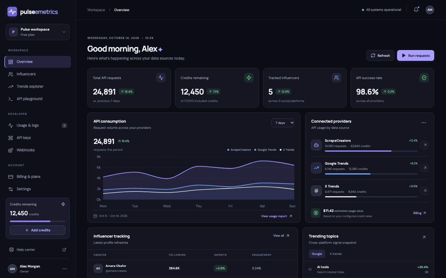 PulseEmetrics dashboard overview showing API consumption and connected providers